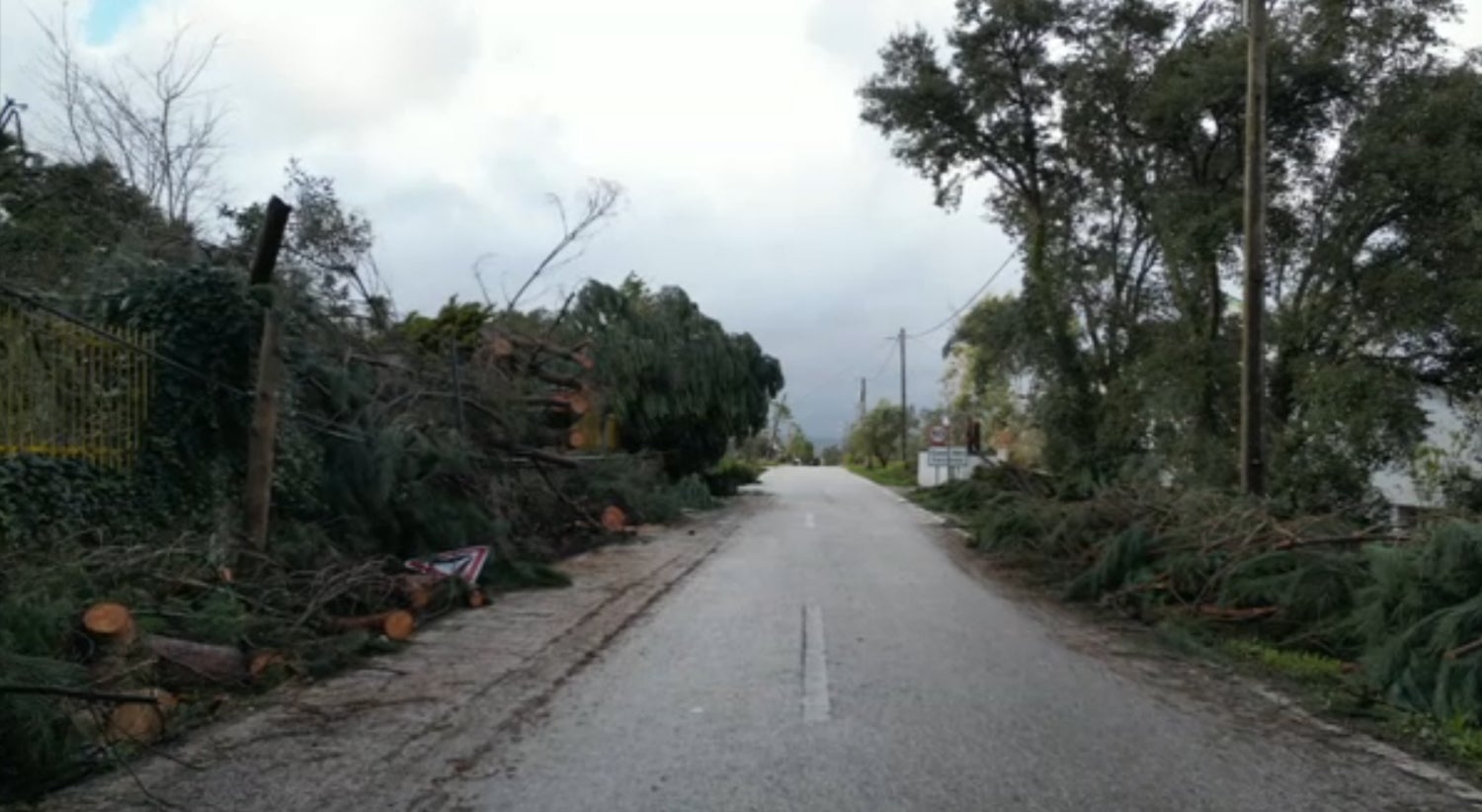 Pedr&oacute;g&atilde;o Grande