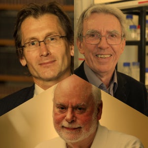 Bernard L. Feringa, Jean-Pierre Sauvage e J. Fraser Stoddart