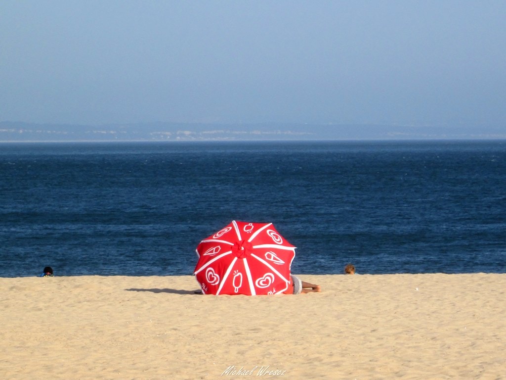  Enviada por Michael Wrescz  