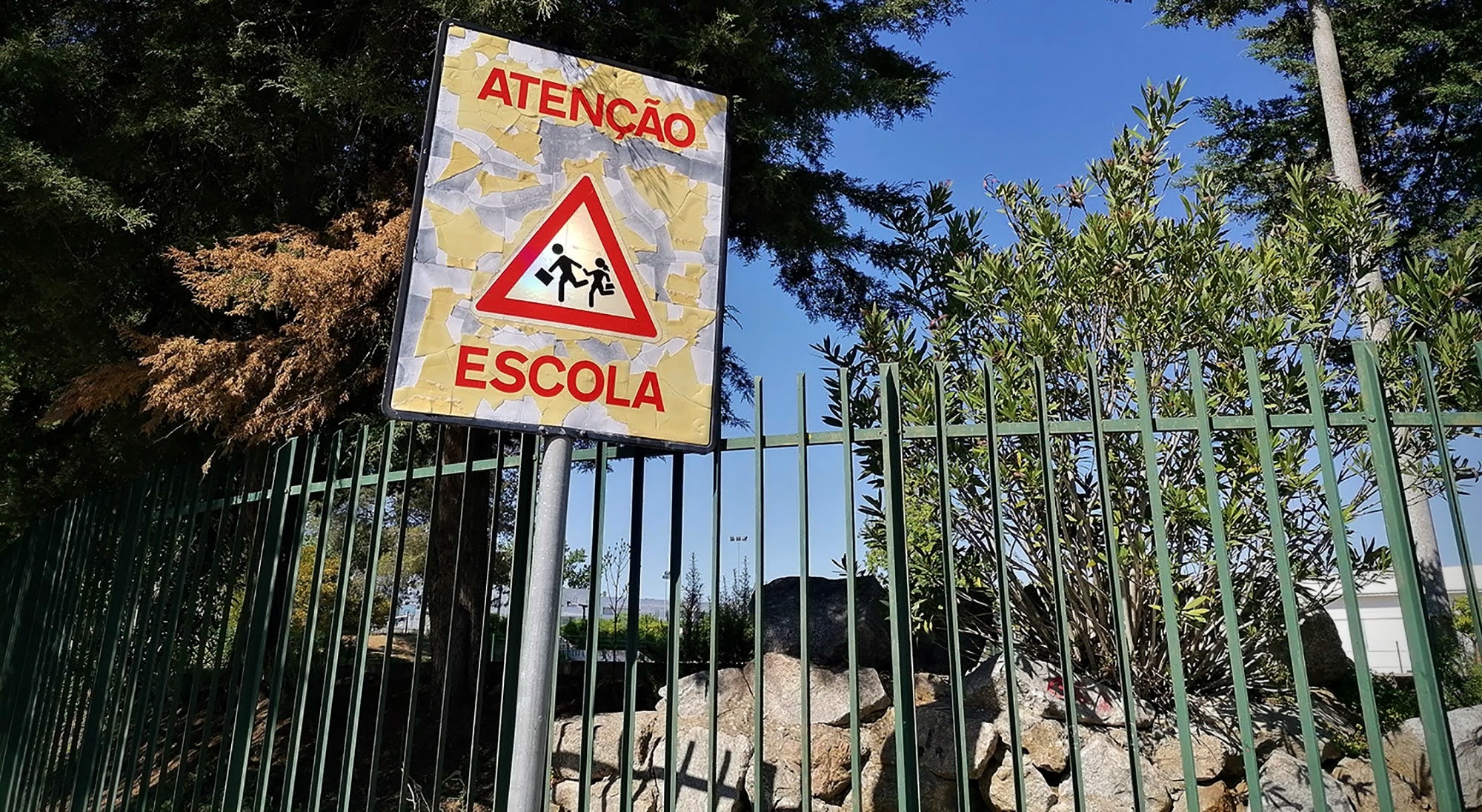 Aulas canceladas em várias escolas de Vagos devido a infestação de moscas