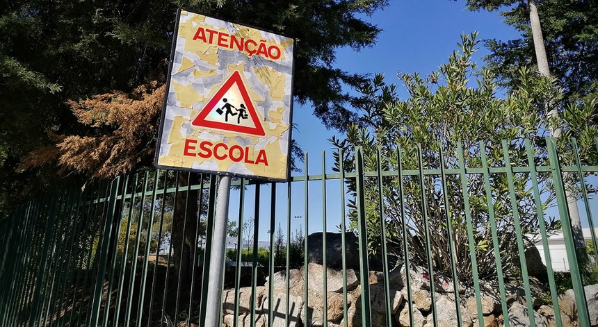 Imagem de Aulas canceladas em várias escolas de Vagos devido a infestação de moscas