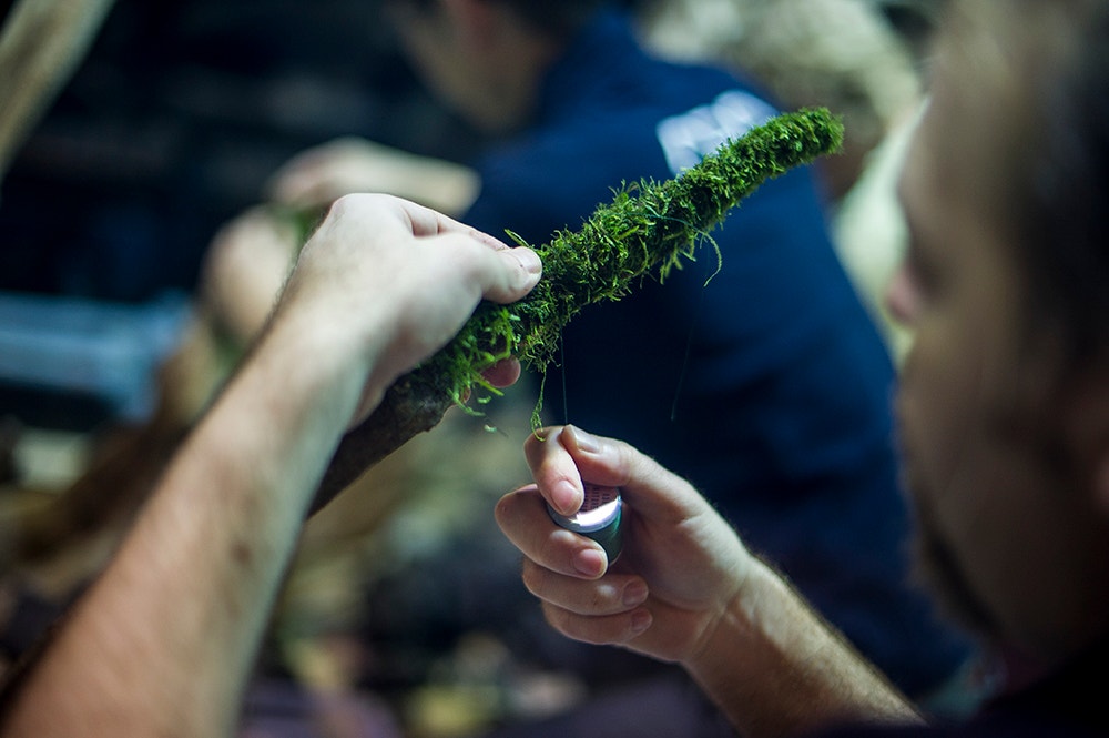  Pedro A. Pina / Ocean&aacute;rio  