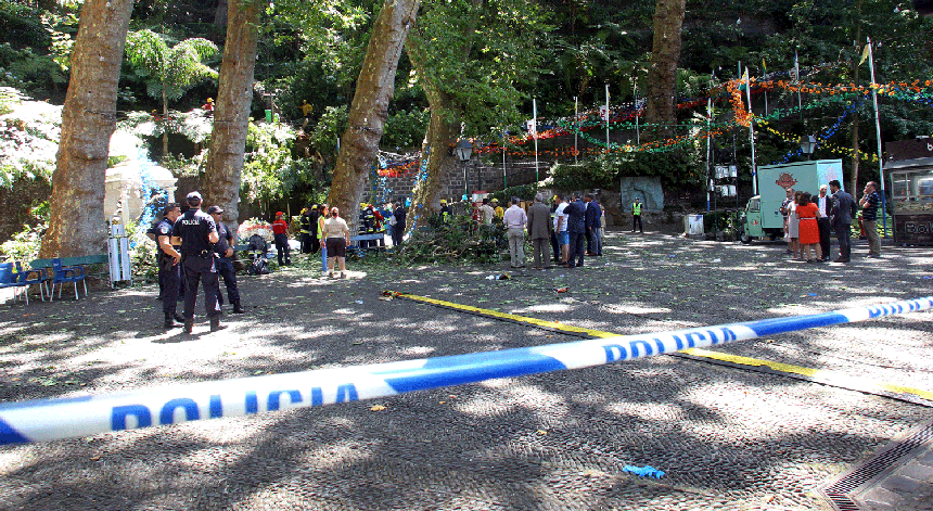 Árvore de grande porte cai sobre multidão no Funchal