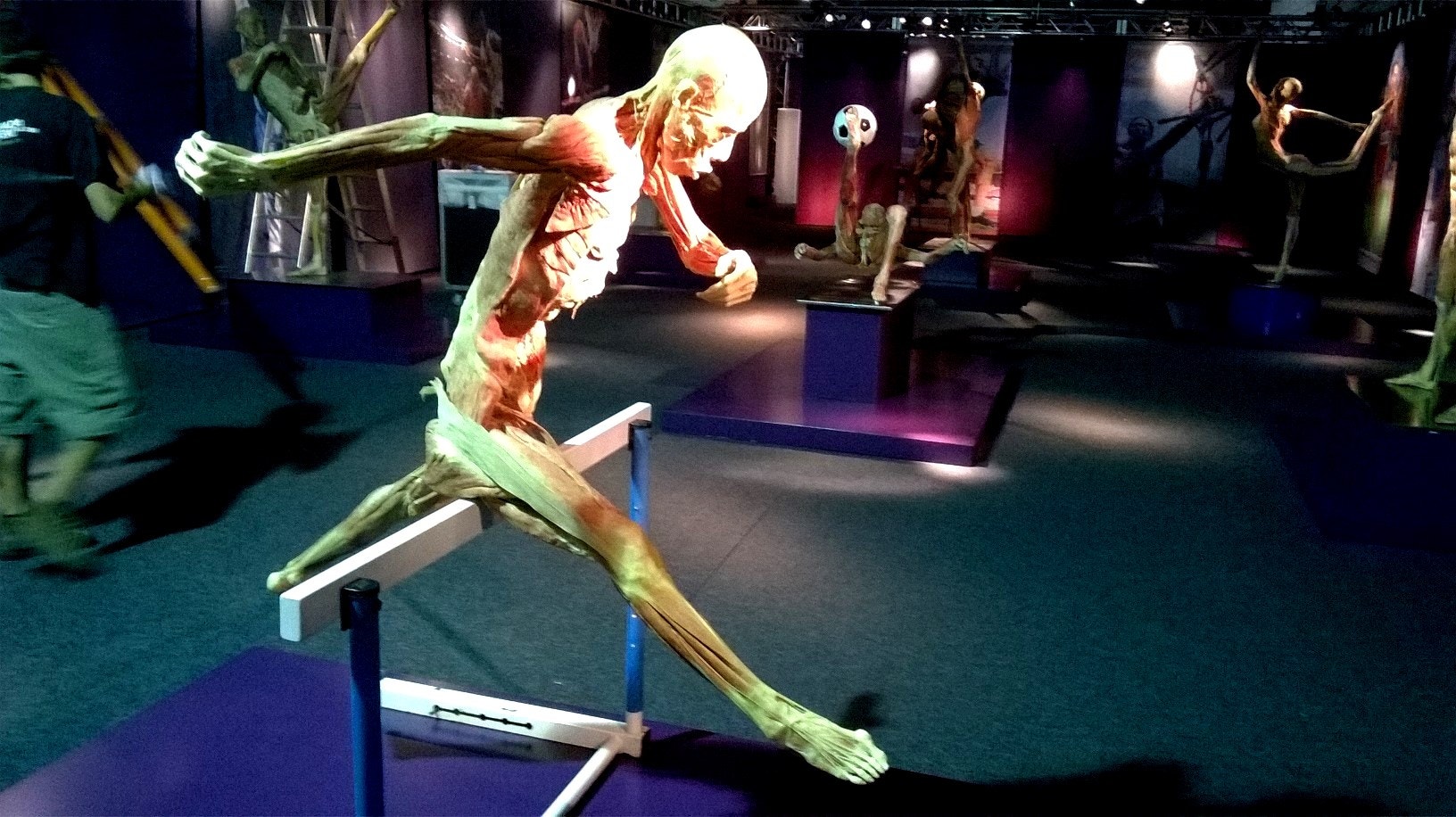  Cr&eacute;ditos: Alexandra Sofia Costa  - Antena 1 - RTP  