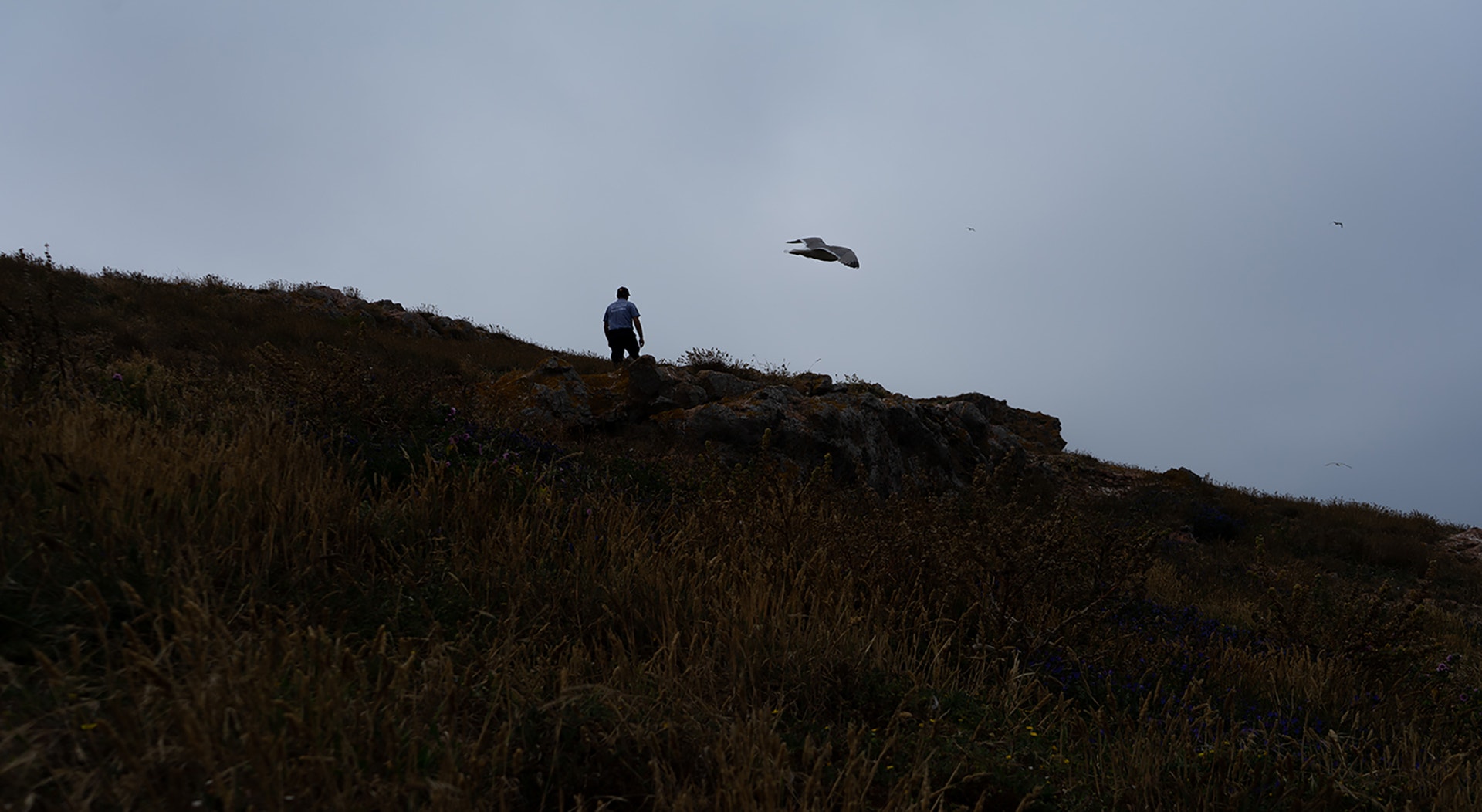  Foto: Rodrigo Lobo - RTP 