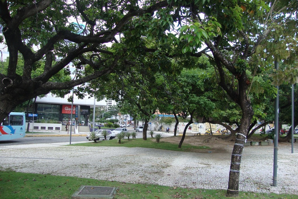  Foto: Maria Almeida 
