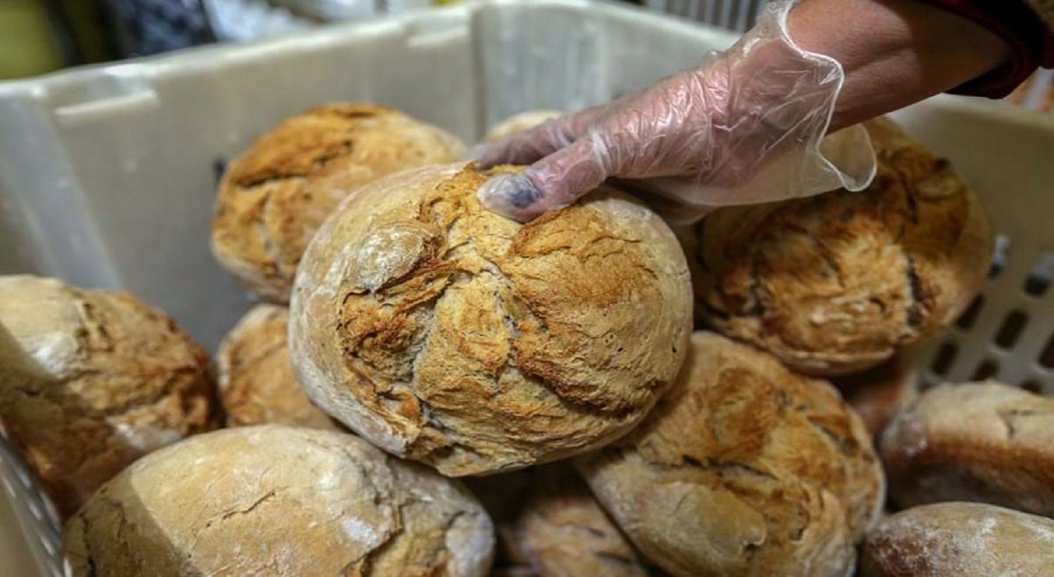 Bread and pastries to see a "slight increase" in price in 2026 mainly due to eggs