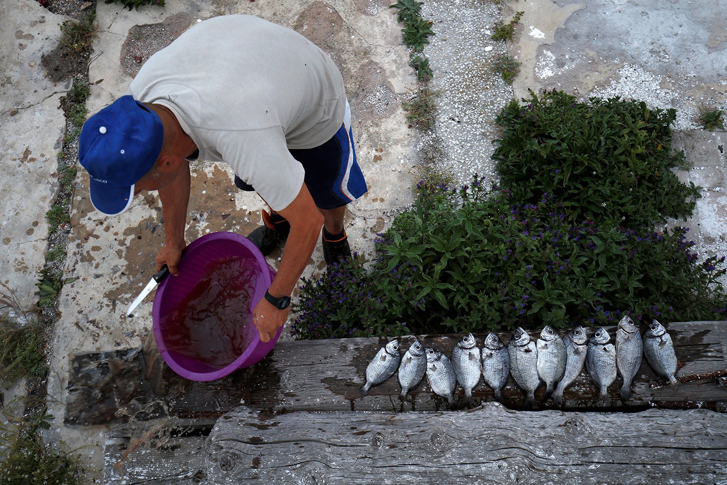  Foto: Rafael Marchante - Reuters 