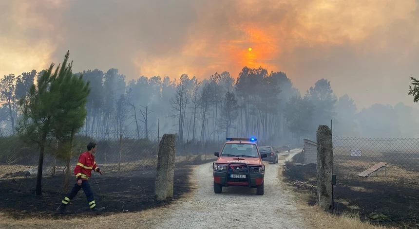 Portugal's Wildfire Crisis: 3% of National Territory Devastated as Government Denies Prevention Failures
