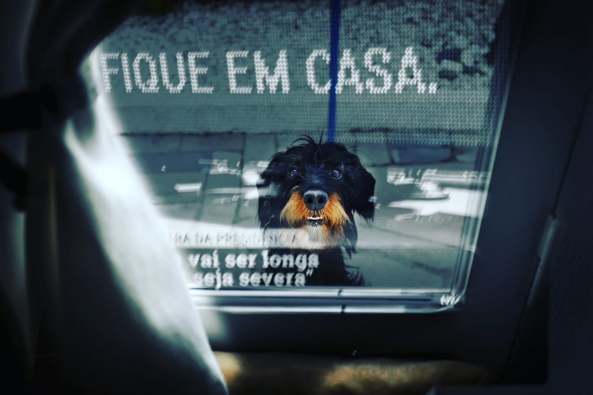  Cr&eacute;ditos fotogr&aacute;ficos: Gon&ccedil;alo Borges Dias/DR 