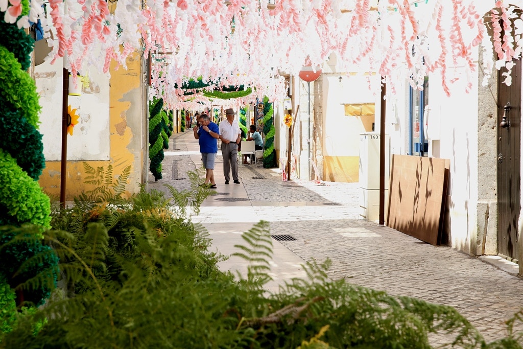  Nuno Patr&iacute;cio - RTP 