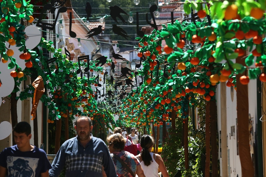  Nuno Patr&iacute;cio - RTP 