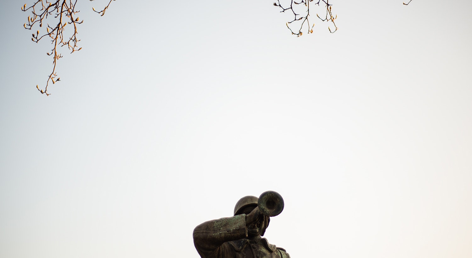  Foto: David Ara&uacute;jo - RTP  