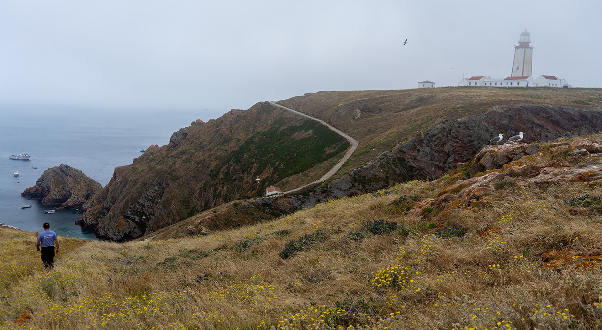  Foto: Rodrigo Lobo - RTP 