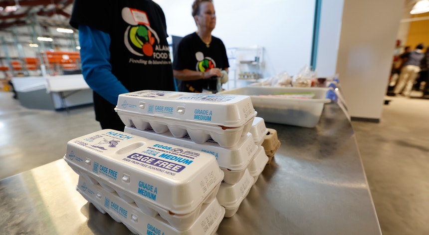 Imagem de Shutdown: Ajuda alimentar de subsistência reduzida a metade nos EUA