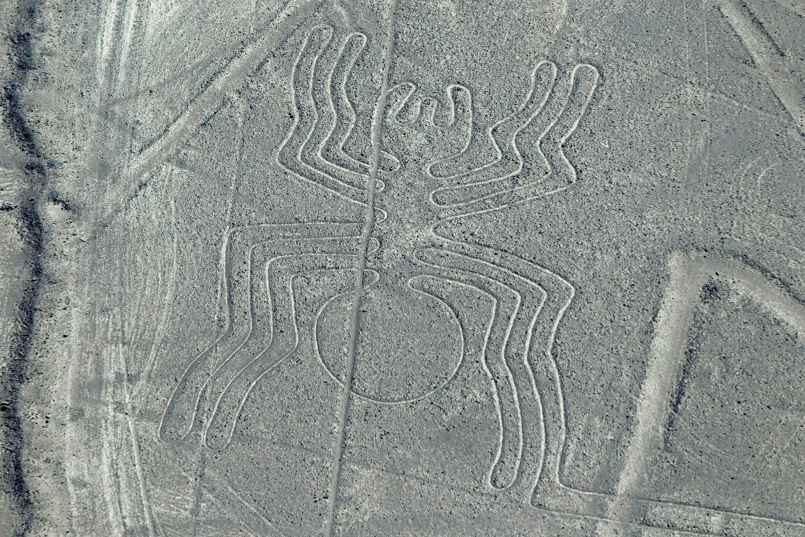  Aranha de Nazca | Enrique Castro-Mendivil - Reuters  