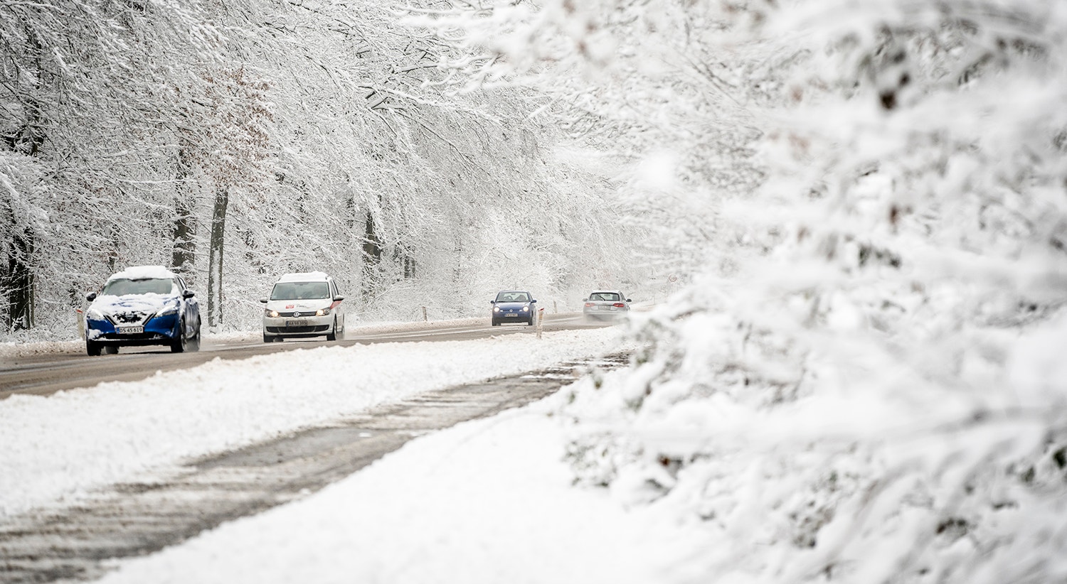  Zealand, Dinamarca | Foto: Mads Claus Rasmussen - EPA 