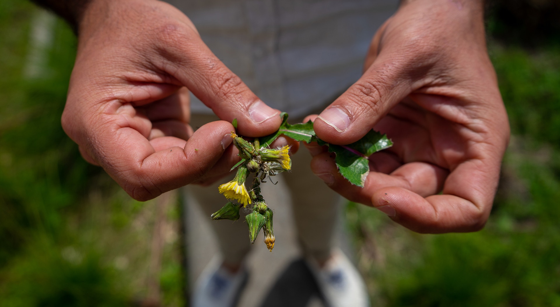  Foto: Rodrigo Lobo - RTP 