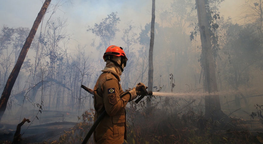 O relatório da Human Rights Watch denuncia a desflorestação ilegal da Amazónia, impulsionada por redes criminosas
