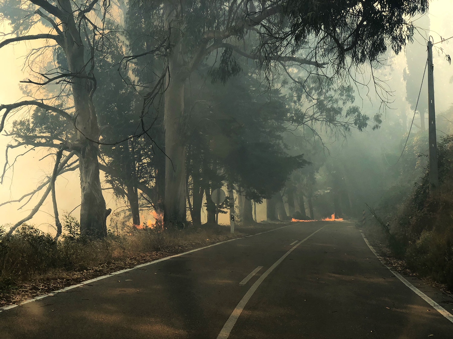 Incêndio de Monchique ativo já há sete dias