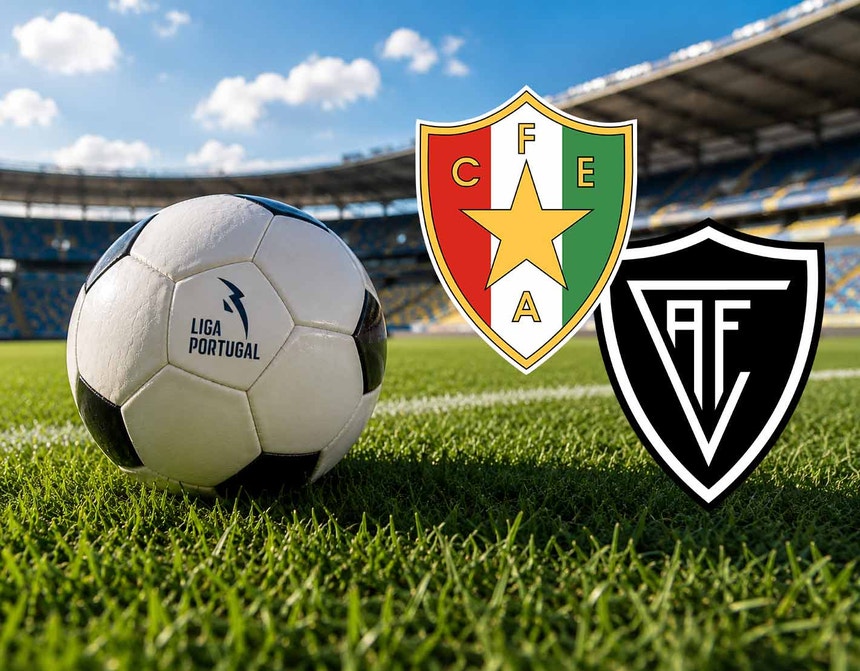 Imagem de I Liga. Estrela - Académico Viseu