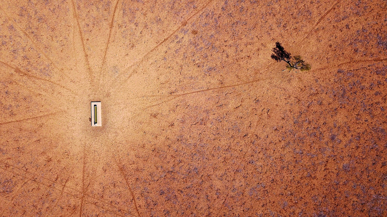  David Gray - Reuters 