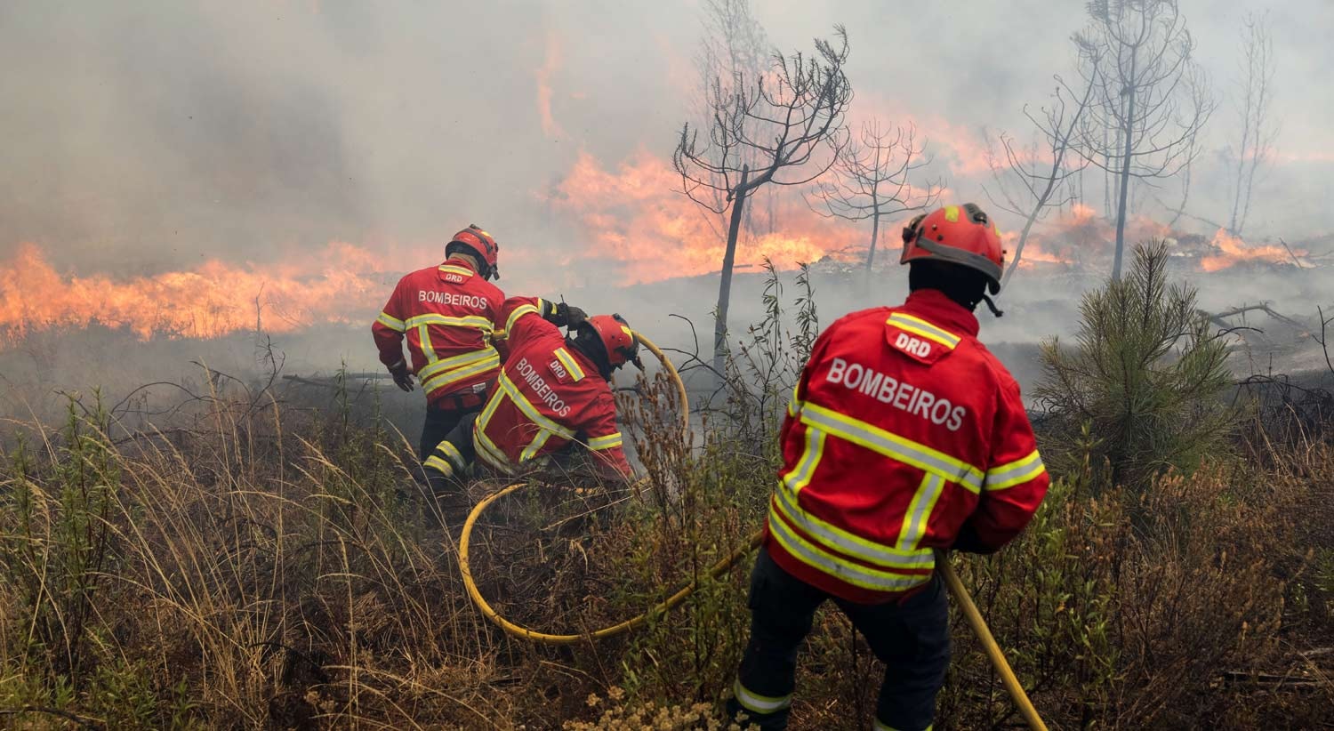  Cr&eacute;dito: Lusa 