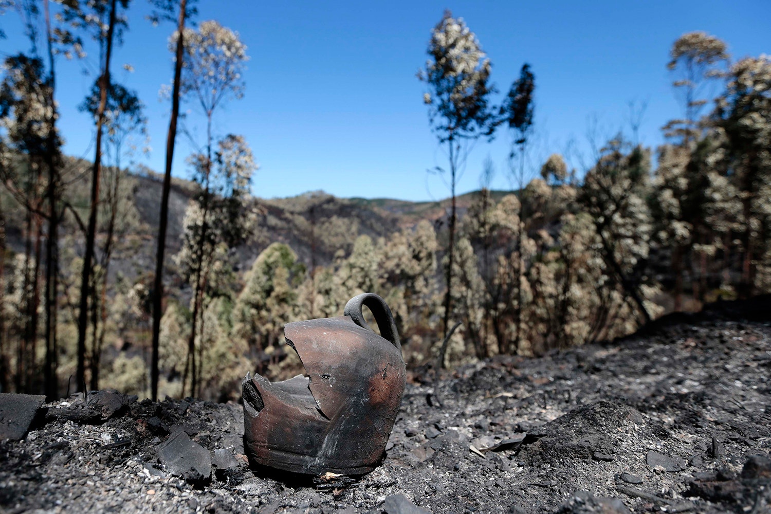  Portela do Vento, Monchique /Filipe Farinha - Lusa 