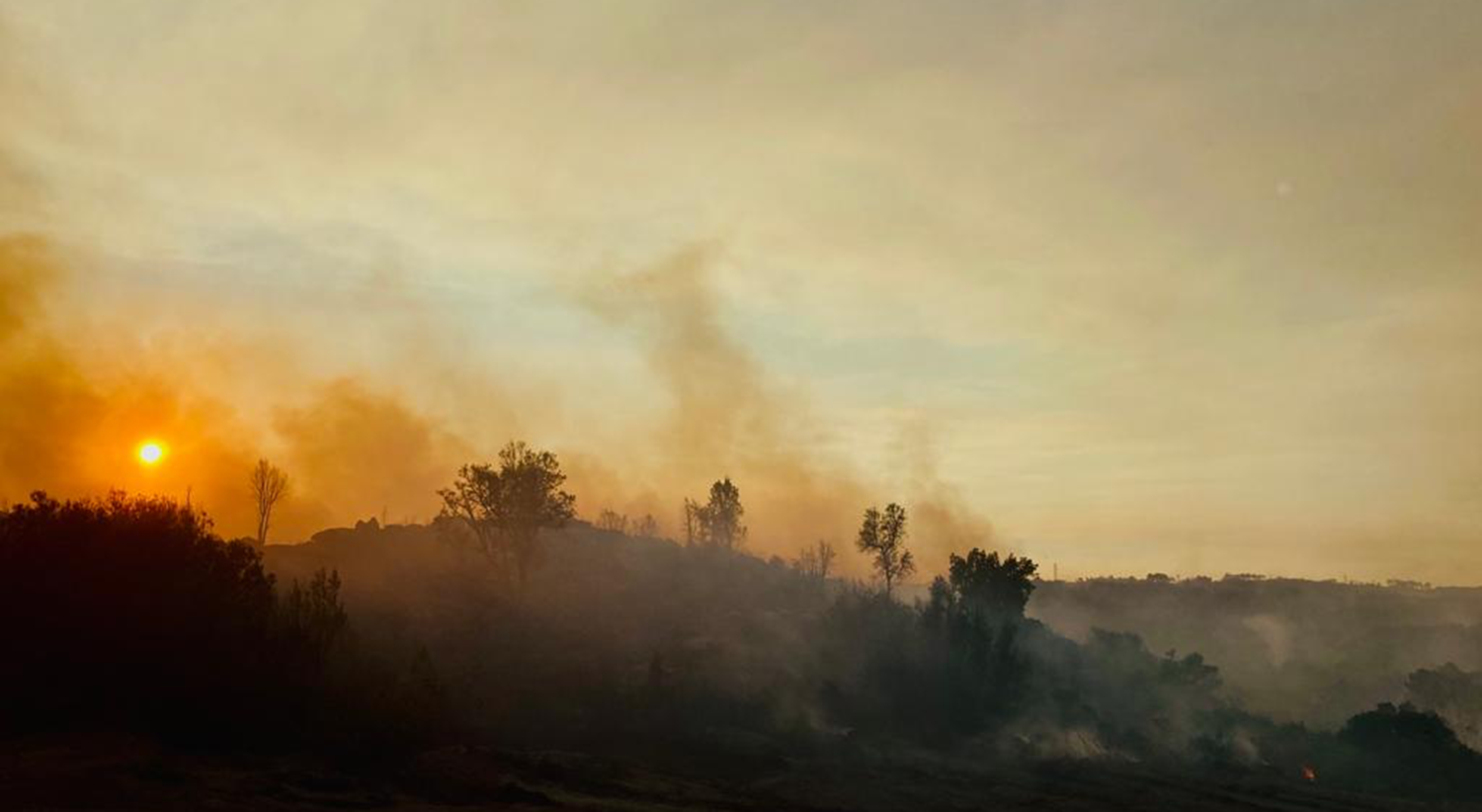 Valpaços. Incêndio praticamente circunscrito pelas 0h00