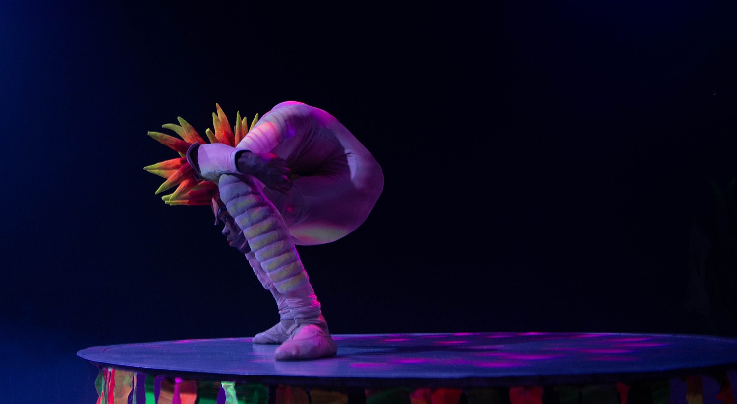  Foto: David Ara&uacute;jo - RTP 