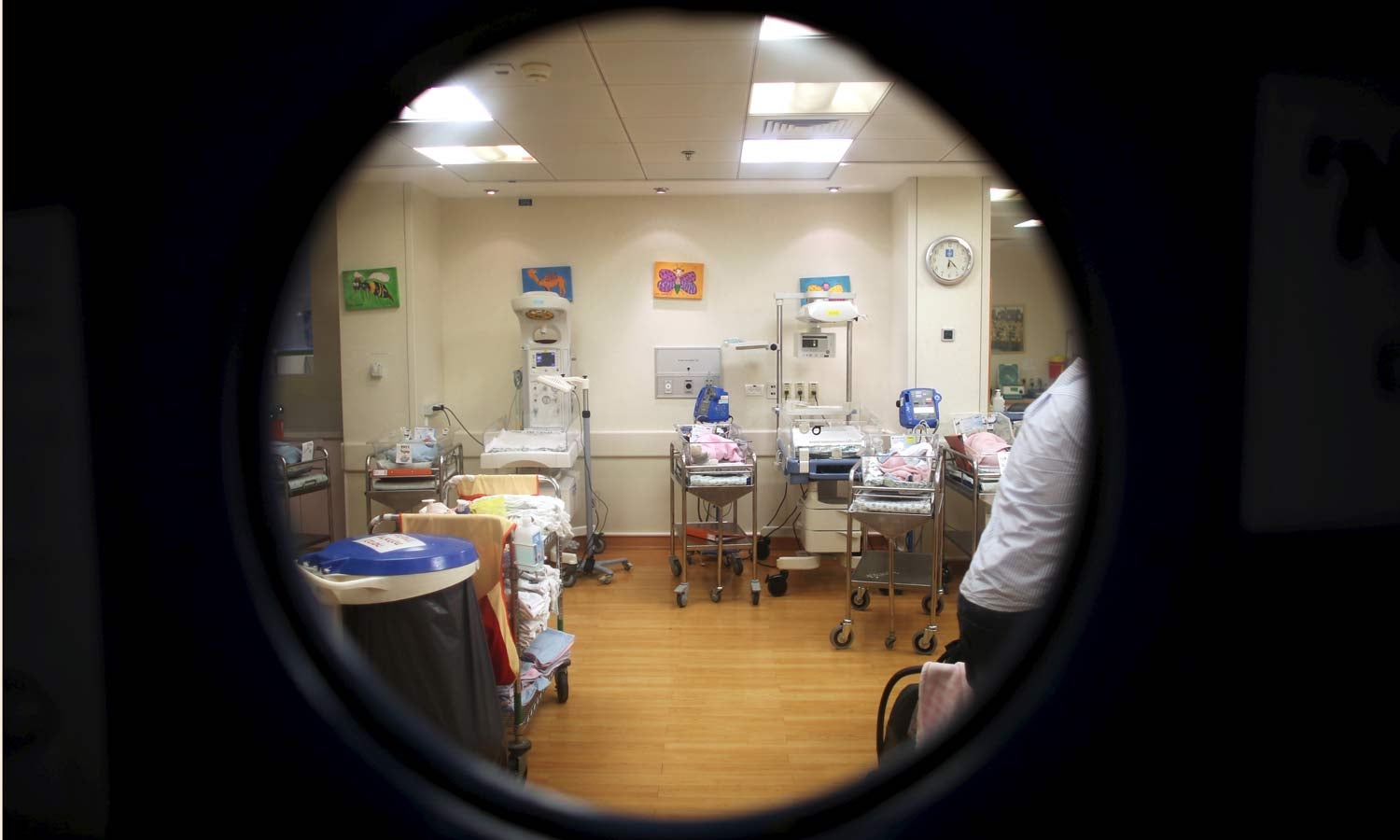 Baston�rio da Ordem dos M�dicos muito critico �s falhas de seguran�a