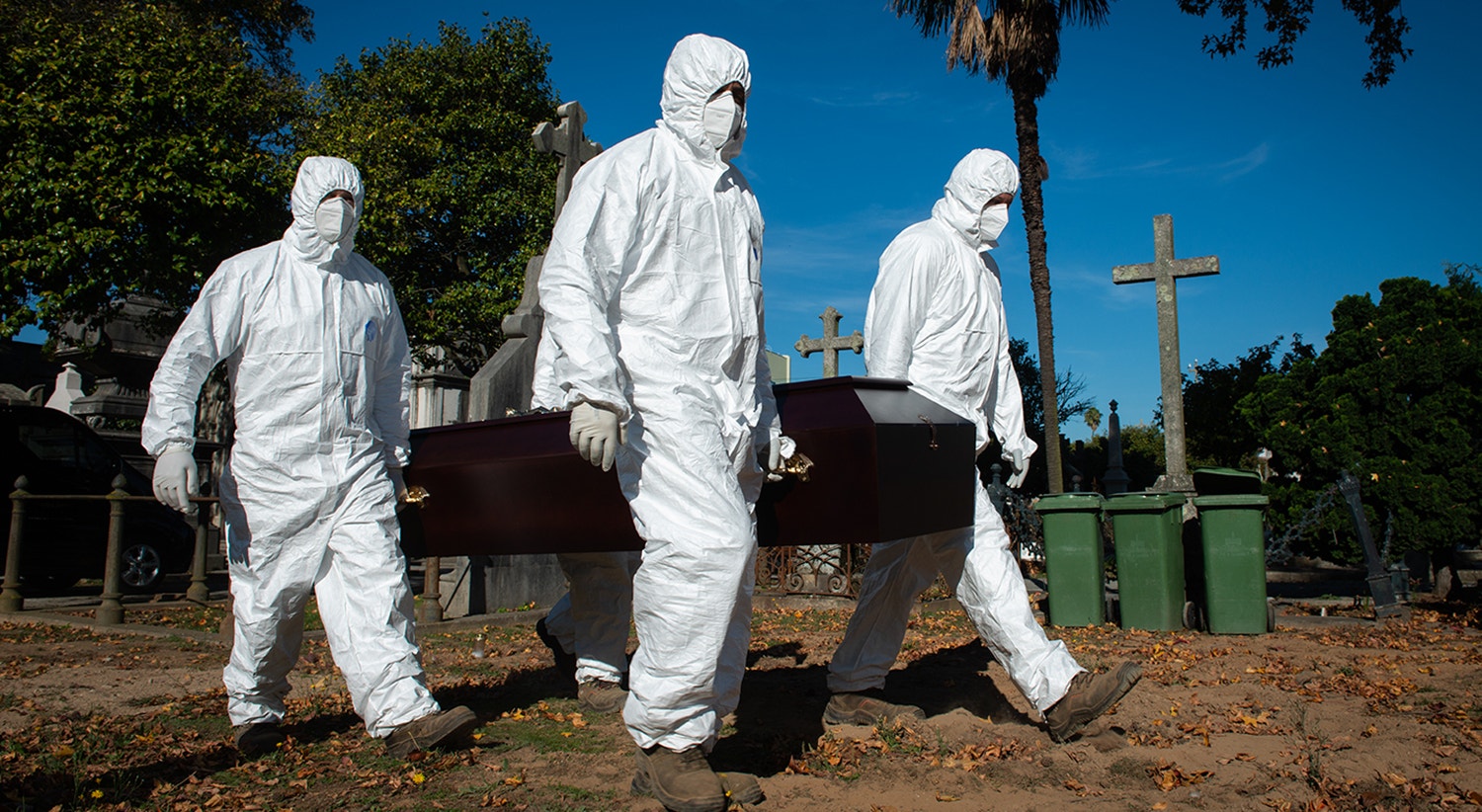  Foto: David Ara&uacute;jo - RTP  