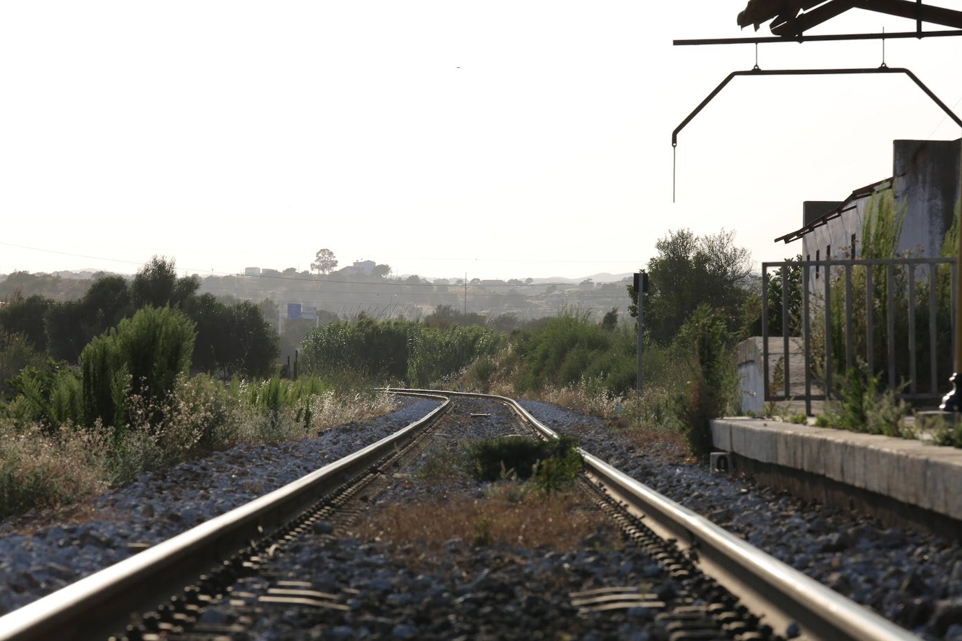 Passengers complain about delays on trains between the Alentejo and Lisbon