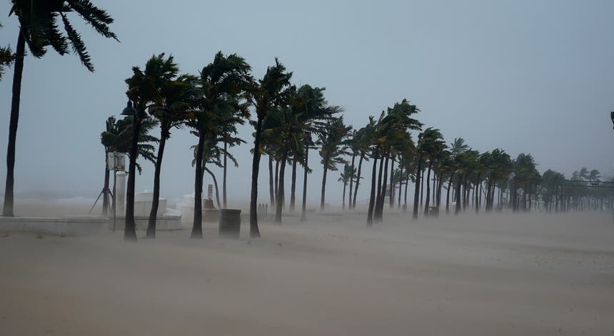 Foto: Ricardo Rojas - Reuters Foto: Ricardo Rojas - Reuters