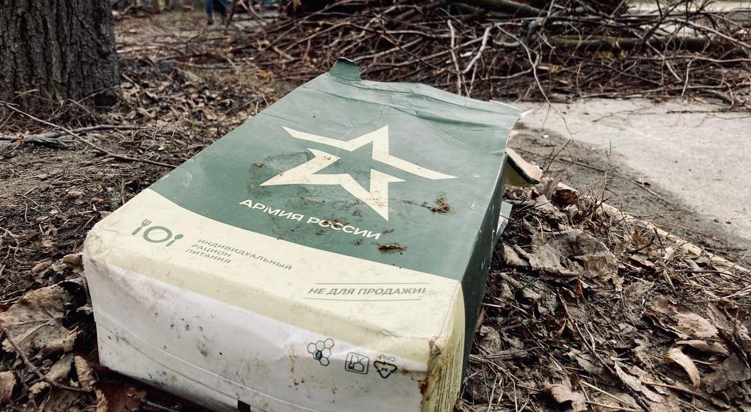  Foto: David Ara&uacute;jo - RTP 