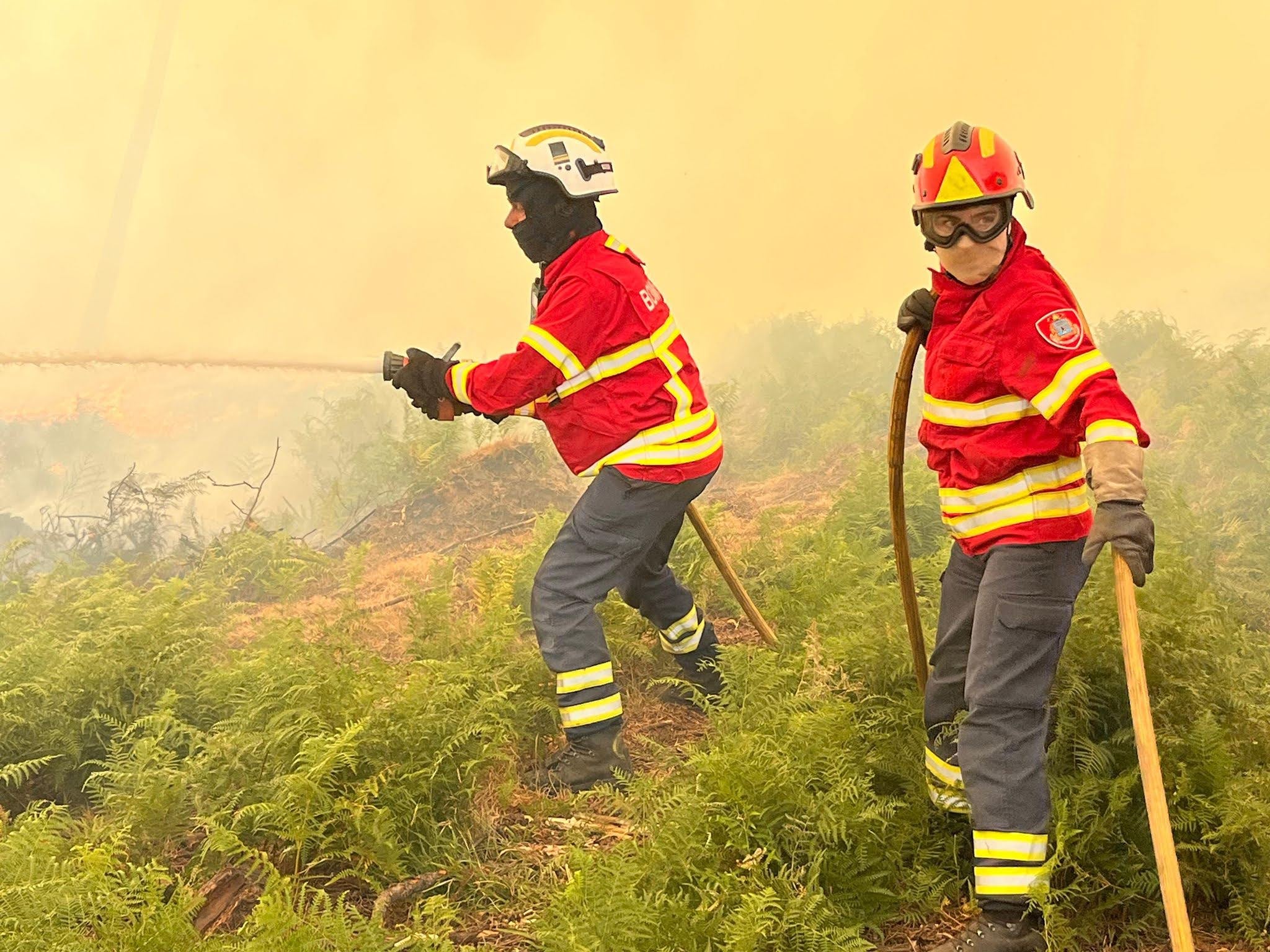 Incêndio na Serra do Caramulo em fase de resolução