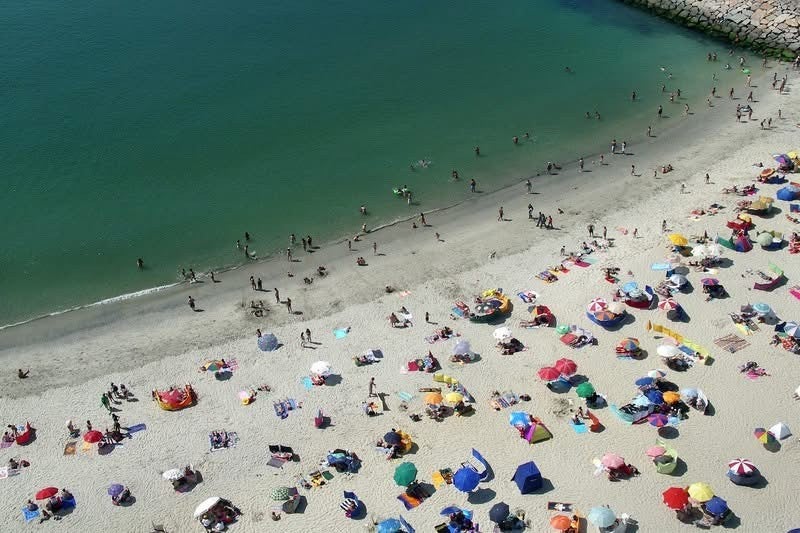 Enough! Local authority advances with measures to stop cars in summer at Costa Nova and Barra beaches