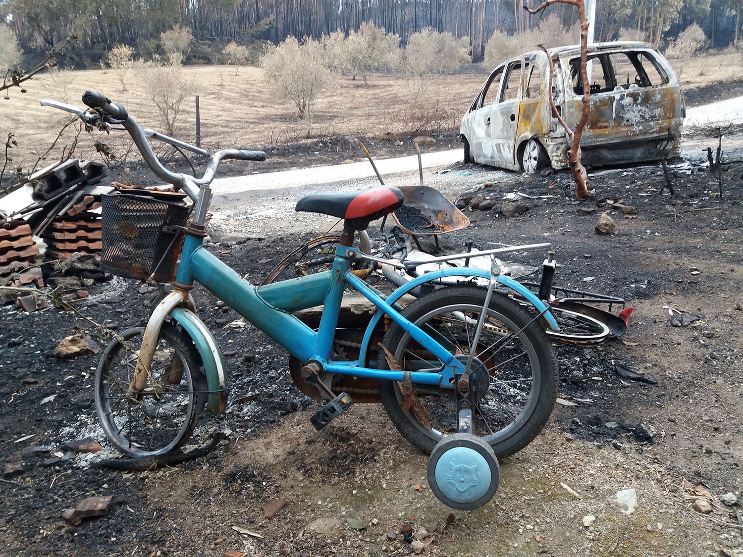  Foto: Nuno Tavares - RTP 