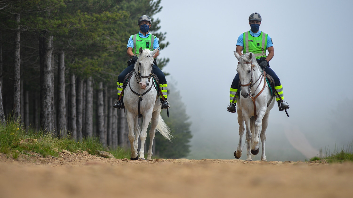  Foto: David Ara&uacute;jo - RTP 