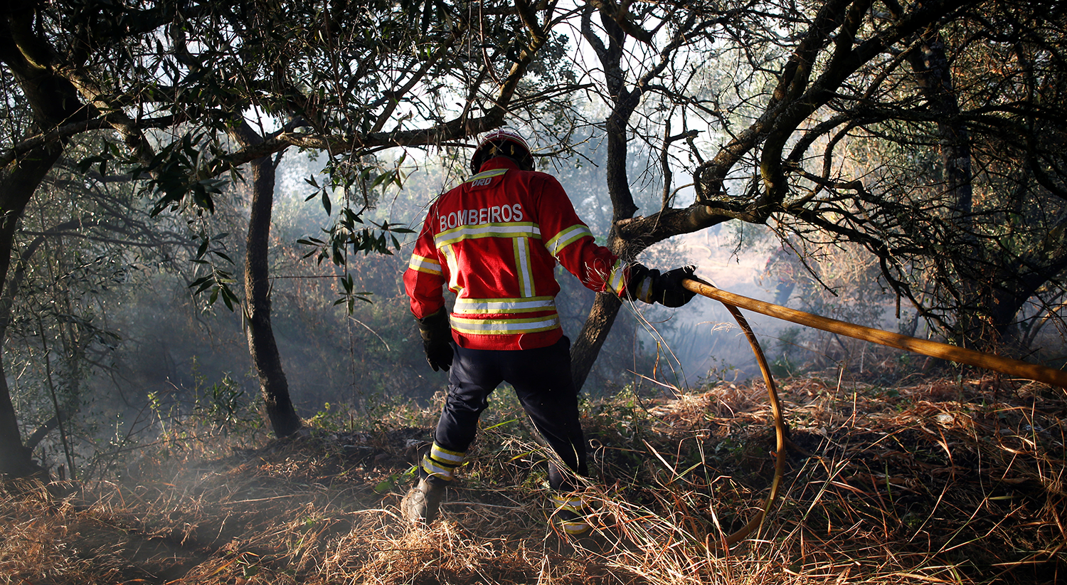 Várias pessoas retiradas preventivamente devido a fogo em Castro Marim - Vimarsana News