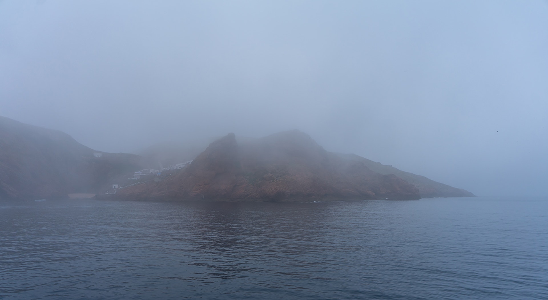  Foto: Rodrigo Lobo - RTP 