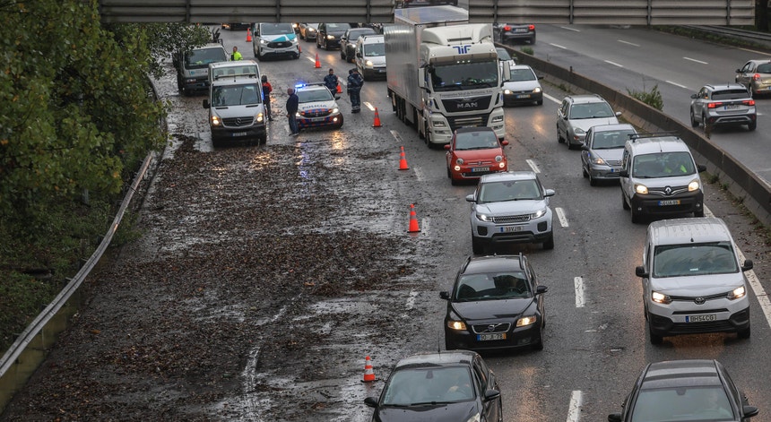 Imagem de Mau tempo. Todas as estradas reabertas no Porto após 