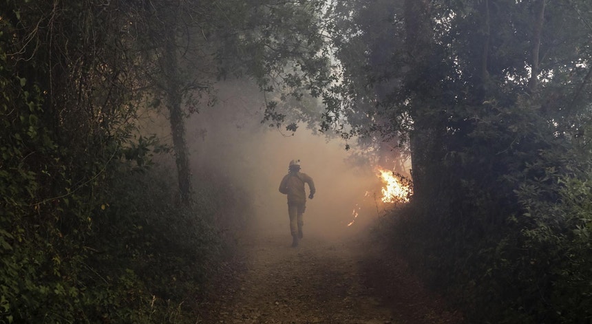 Um bombeiro durante o combate às chamas do incêndio que reativou esta tarde em Cioga do Campo, Cantanhede, 12 de agosto de 2017
