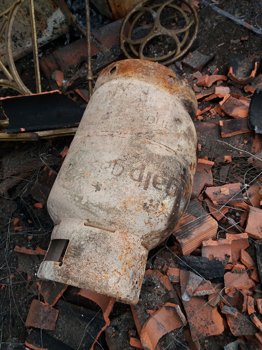  Foto: Nuno Tavares - RTP 