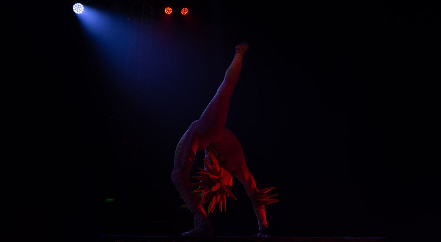  Foto: David Ara&uacute;jo - RTP 