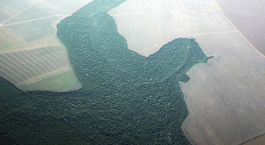 Vista aérea de terras da Amazónia, desflorestadas para dar lugar a terrenos agrícolas, no Estado brasileiro do Pára, julho de 2019 
