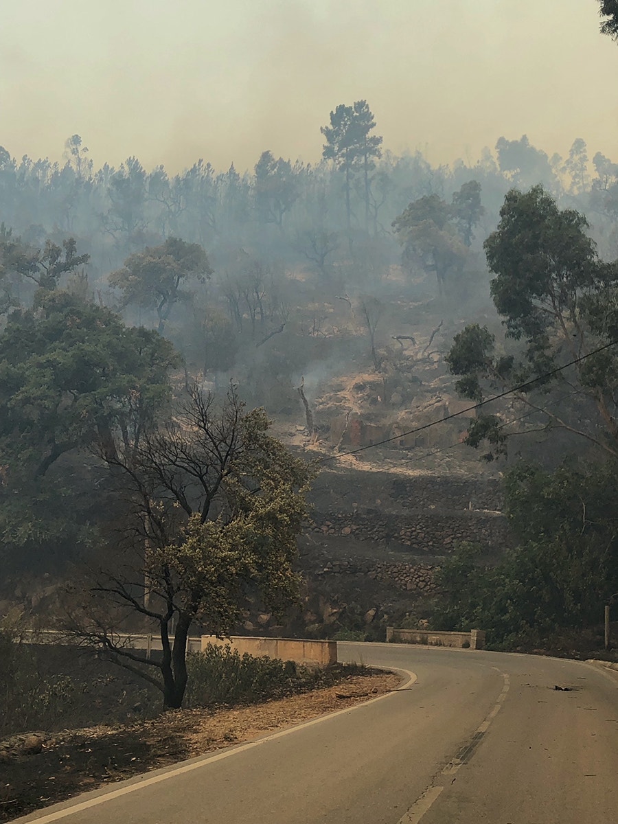  Foto: Miguel Soares - RTP 