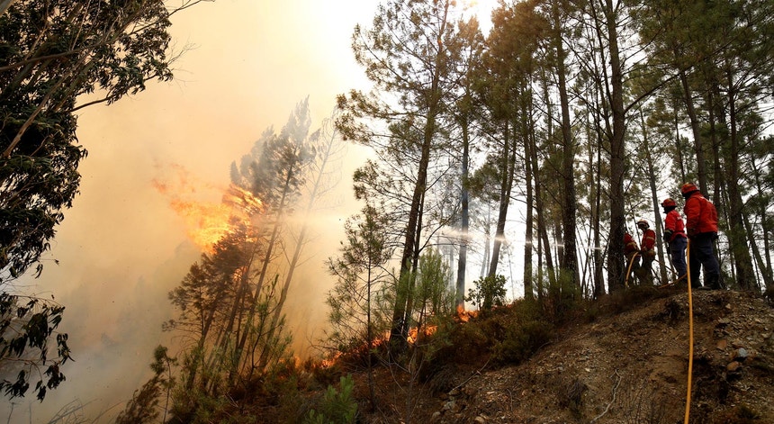 O fogo em Capelo, a 21 de junho de 2017
