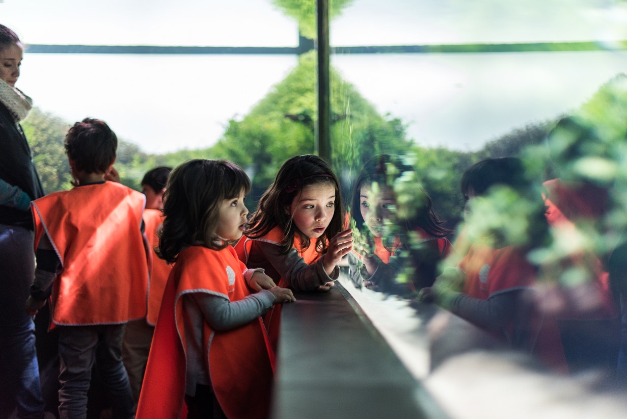  Visita de estudo. Florestas Submersas por Takashi Amano, 2016 | Pedro Pina - Ocean&aacute;rio de Lisboa 