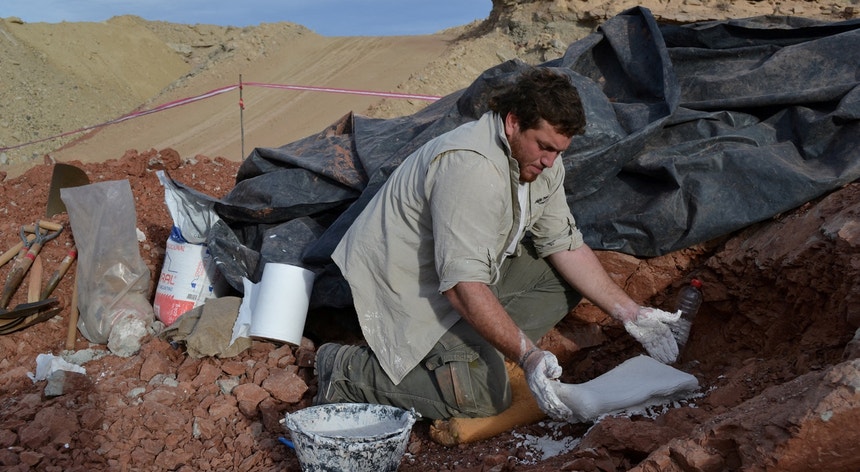 Paleontólogo trabalha em escavação de pterossauro na Argentina

